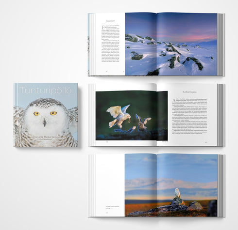 Tunturipöllö - Koskimies, P., Luhta, J.,  Varesvuo, M., 2022